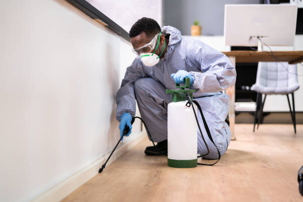 Best Pest Exclusion Services  in Csar Chvez, TX